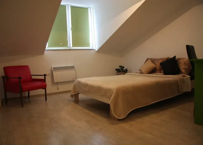 Apartment In City Center